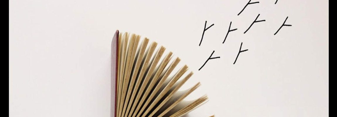 Programa sobre Storytelling y Christian Salmon