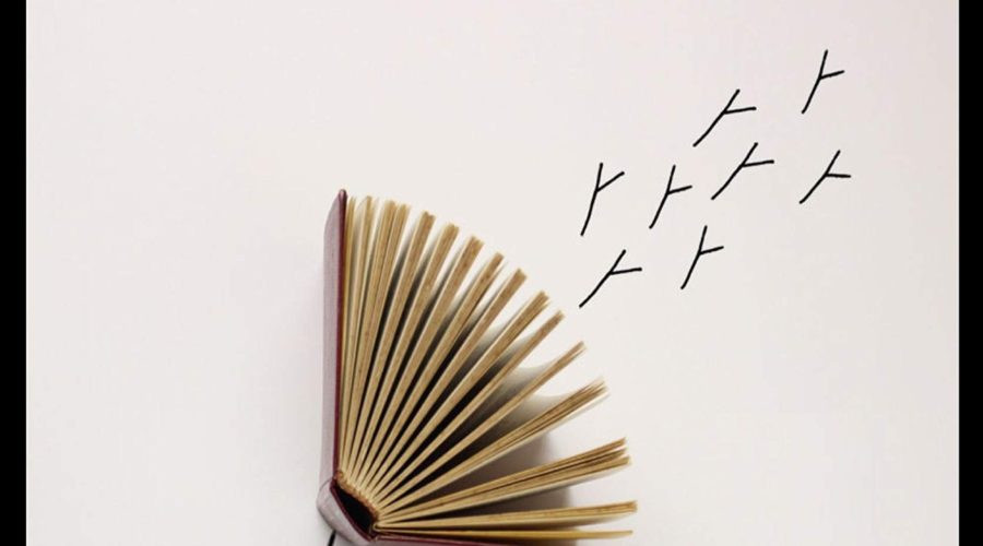 Programa sobre Storytelling y Christian Salmon