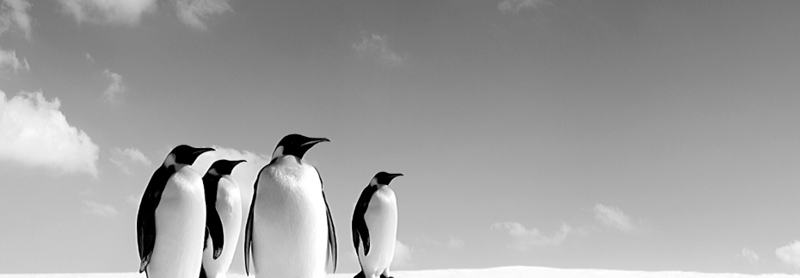 20 statements on the art of storytelling for marketing