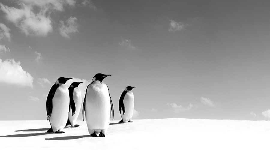 20 statements on the art of storytelling for marketing