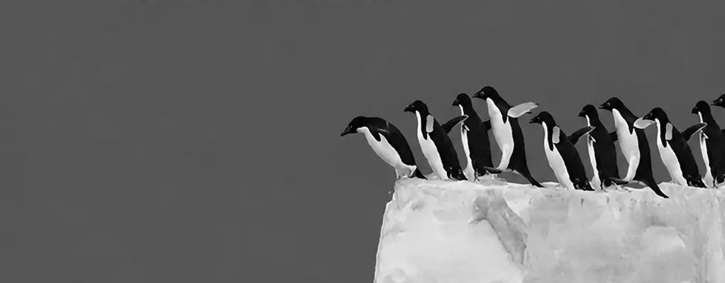 20 frases inspiradores sobre transmedia storytelling