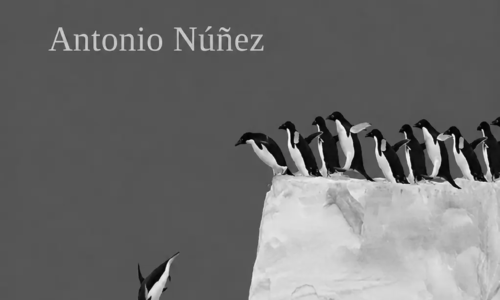 20 frases inspiradores sobre transmedia storytelling