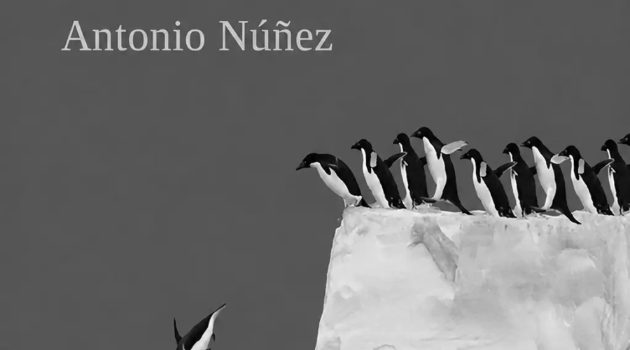 20 frases inspiradores sobre transmedia storytelling